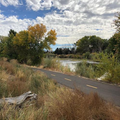 A scenic path beside a river, framed by trees and tall grasses under a cloudy sky.