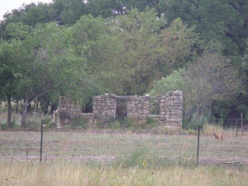 A weathered stone ruin surrounded by greenery, with a deer grazing nearby in a grassy field.