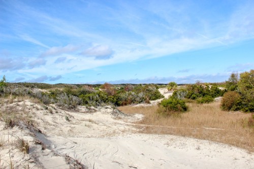 A sandy landscape with sparse vegetation, rolling dunes, and a clear blue sky with wispy clouds.