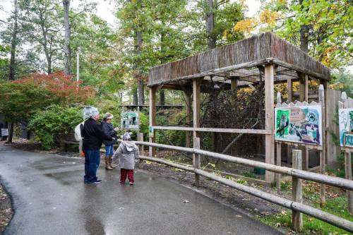 A family stands by a wooden enclosure in a park, surrounded by trees and autumn foliage, observing the area.