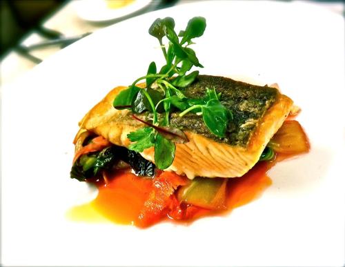 A beautifully plated salmon fillet garnished with microgreens, served on a bed of colorful vegetables and sauce.