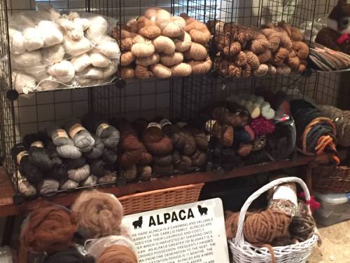 A display of various yarns in natural colors, with a sign about alpaca fiber in front.