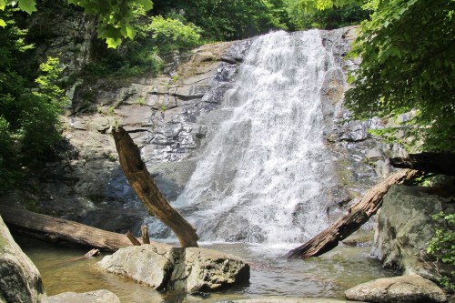 A serene waterfall cascading over rocks, surrounded by lush greenery and fallen logs in a tranquil natural setting.