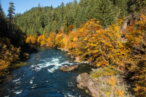 A serene river flows through a forest with vibrant autumn foliage and rocky banks under a clear blue sky.