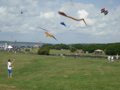 A person flies colorful kites shaped like sea creatures in a grassy field with spectators in the background.