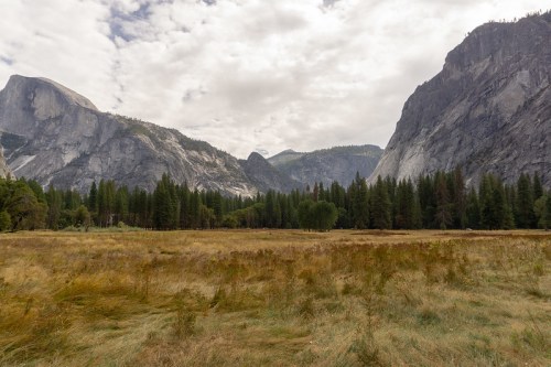 A scenic view of Yosemite Valley, featuring towering granite cliffs and a grassy meadow surrounded by pine trees.