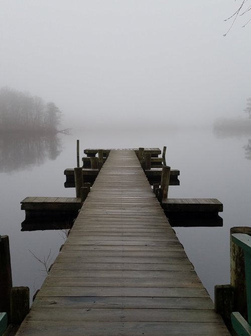 A wooden dock extends into a foggy lake, surrounded by trees, creating a serene and tranquil atmosphere.