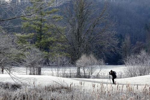 A person walks through a frosty landscape with trees and a frozen lake in the background.