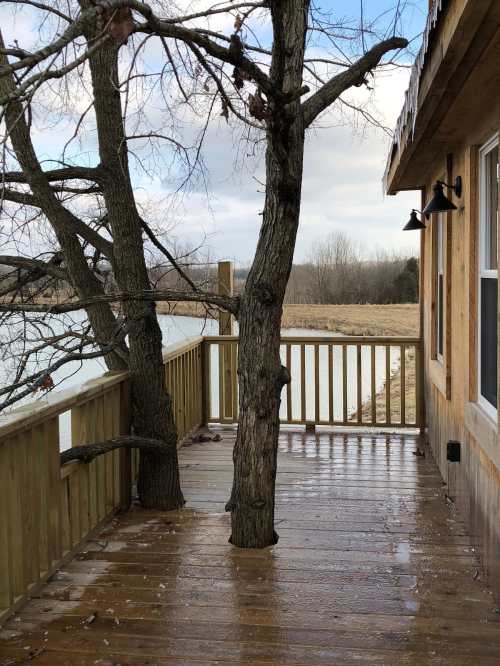 A wooden deck by a lake, featuring two trees growing through it and a cloudy sky in the background.