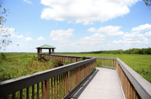 A wooden boardwalk leads to a gazebo overlooking a lush green wetland under a blue sky with fluffy clouds.