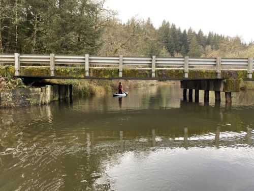 A person paddles a kayak under a moss-covered bridge in a calm, wooded area.