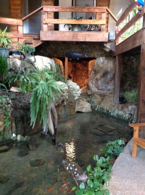 A serene indoor pond with fish, surrounded by rocks and plants, beneath a wooden deck in a cozy setting.