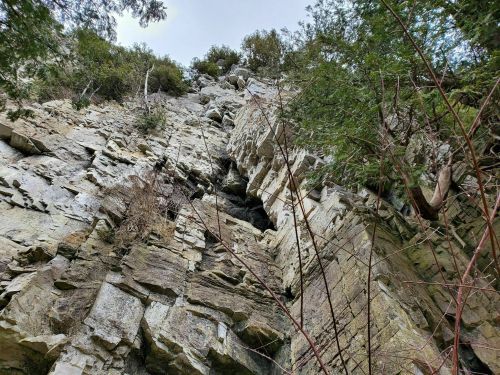 A steep rock face covered with greenery, viewed from below, showcasing rugged textures and natural formations.