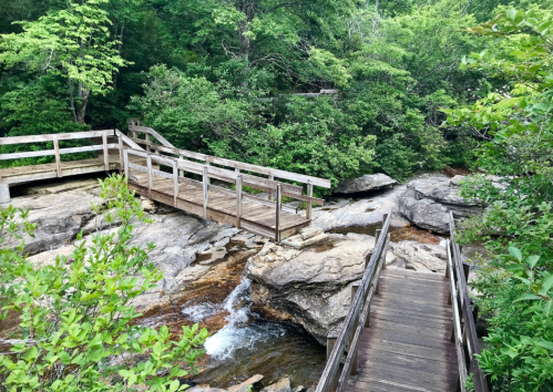 A wooden bridge crosses a rocky stream surrounded by lush green foliage and trees.