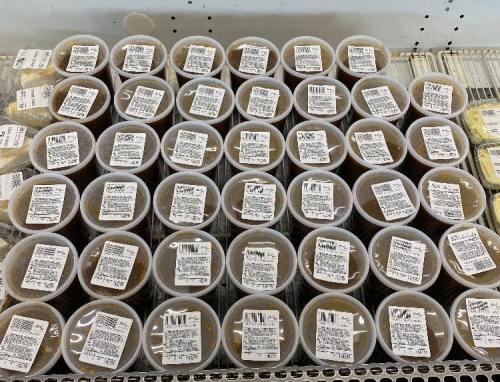 A grid of plastic containers filled with food, each labeled with nutritional information and ingredients.