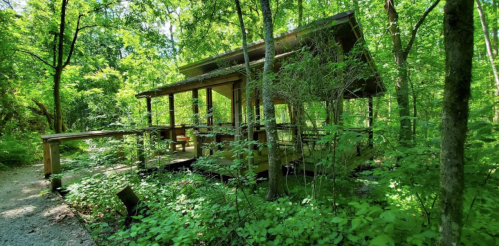 A wooden cabin surrounded by lush greenery and trees in a serene forest setting.