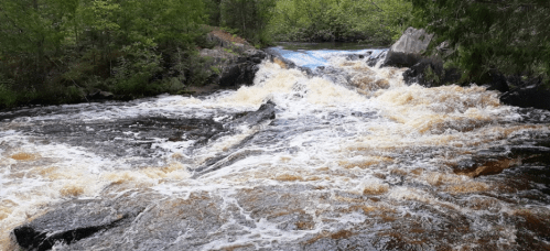 A rushing river cascades over rocky terrain, surrounded by lush greenery and trees.