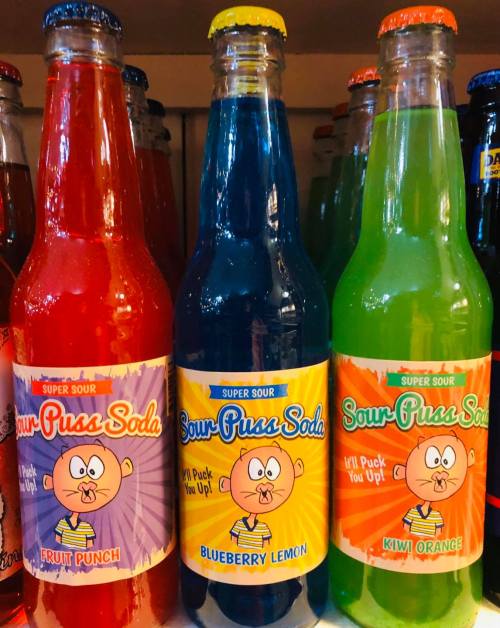 Three colorful soda bottles labeled "Sour Puss Soda" in flavors: Fruit Punch, Blueberry Lemon, and Kiwi Orange.