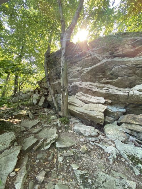Sunlight filters through trees above a rocky outcrop in a lush forest setting.