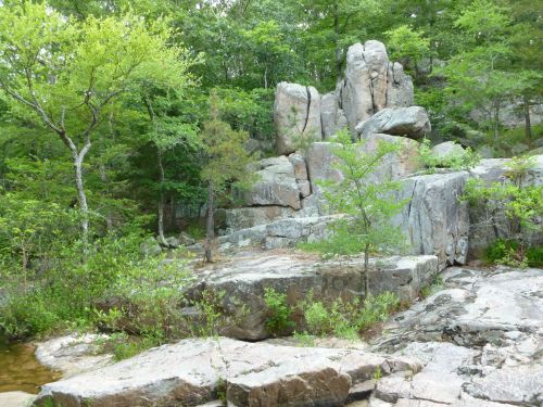 Rocky terrain surrounded by lush greenery and trees, showcasing a natural landscape with large boulders.