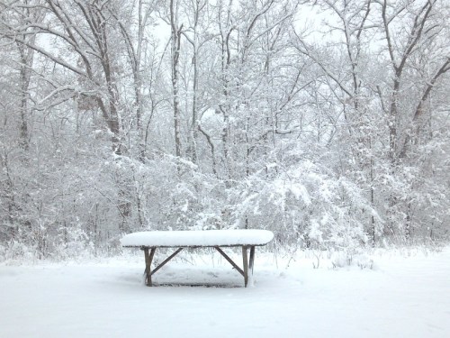 A snow-covered picnic table surrounded by trees blanketed in fresh snow.