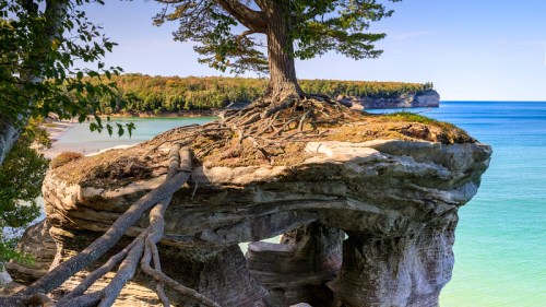 A tree with exposed roots grows atop a rocky cliff overlooking a serene blue lake and lush green shoreline.