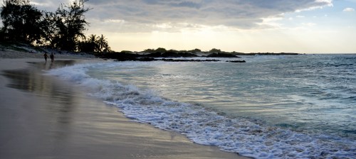 A serene beach scene with gentle waves, palm trees, and a cloudy sky at sunset.