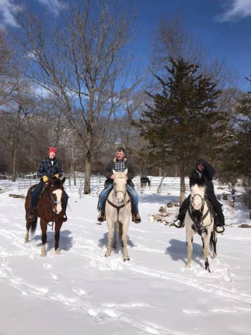 Three people on horseback in a snowy landscape, surrounded by trees and a clear blue sky.