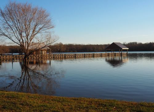 A calm lake scene with a wooden dock, a small gazebo, and a bare tree reflecting on the water under a clear blue sky.