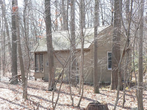 A small, rustic cabin nestled among bare trees in a wooded area, surrounded by fallen leaves.
