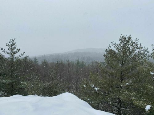 Snowy landscape with trees in the foreground and a misty, distant mountain view under overcast skies.