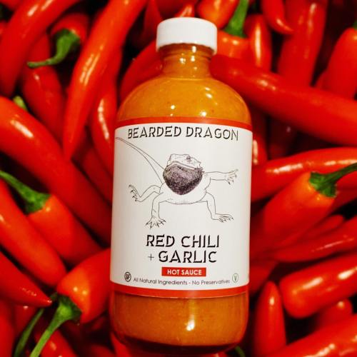 A bottle of Bearded Dragon hot sauce with red chili and garlic, surrounded by fresh red chili peppers.