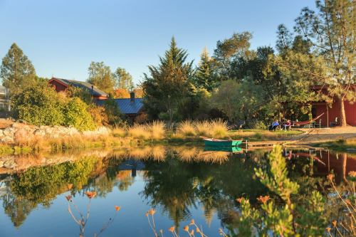 A serene pond reflects trees and buildings, with a small boat and hammock nearby, surrounded by lush greenery.