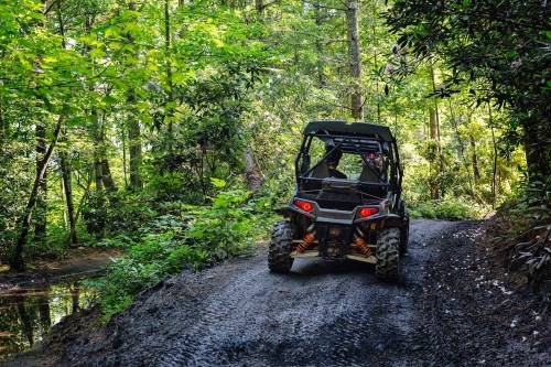 A black ATV drives along a muddy trail surrounded by lush green trees in a forested area.