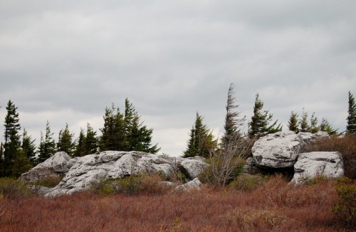 A rocky outcrop surrounded by sparse vegetation and evergreen trees under a cloudy sky.