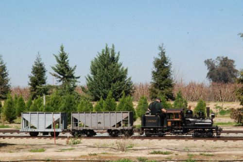A small steam train pulls two flatbed cars along a track, surrounded by trees and open fields.