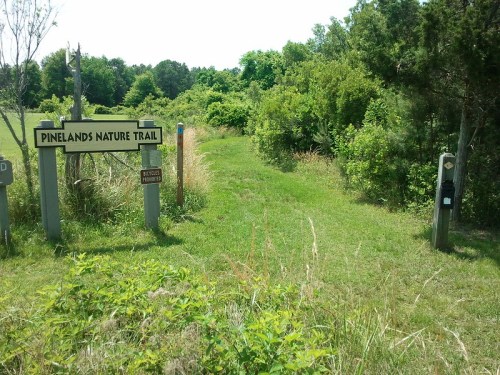 A grassy path leading into a lush green area, marked by a sign for "Pinelands Nature Trail."