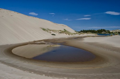 A serene landscape featuring a sandy dune beside a small, calm water pool under a clear blue sky.