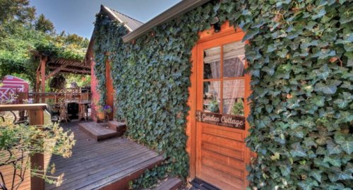 A charming wooden door of a cottage covered in lush green ivy, with a wooden deck and garden in the background.