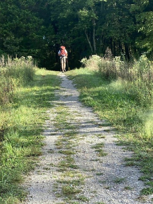 A person walking on a gravel path surrounded by greenery and trees, carrying a backpack and using a walking stick.