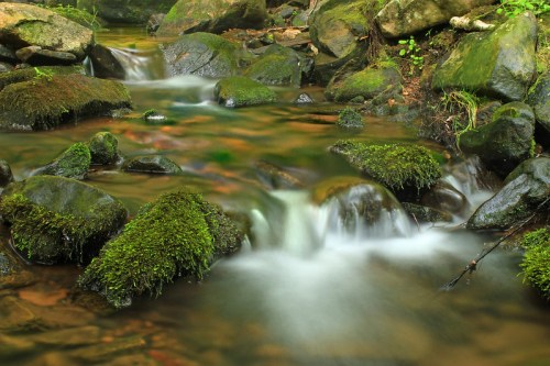A serene stream flows over moss-covered rocks, surrounded by lush greenery and gentle ripples in the water.