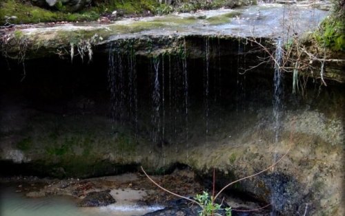 A serene scene of a small waterfall cascading over a rocky ledge into a calm pool below, surrounded by lush greenery.