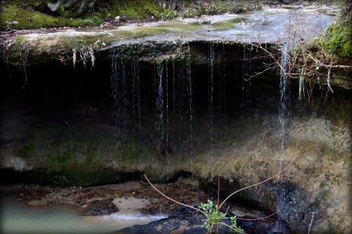 A small waterfall cascades over a rocky ledge into a shallow pool, surrounded by moss and greenery.