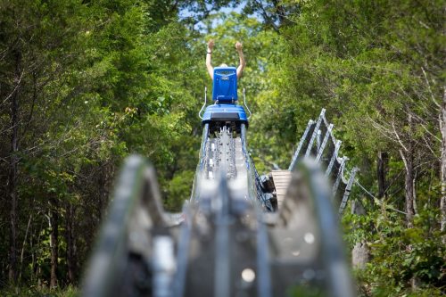 A person with raised hands rides a mountain coaster on a track surrounded by trees.