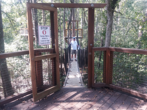 A person stands on a suspension bridge surrounded by trees, with a sign indicating a limit on the number of people allowed.
