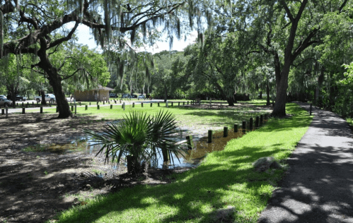 A sunny park scene with lush greenery, a small pond, and a walking path lined by trees and wooden posts.