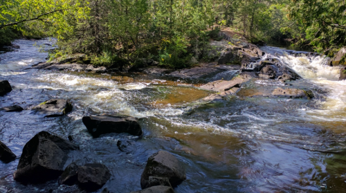 A serene river flows over rocks, surrounded by lush greenery and trees under a clear blue sky.