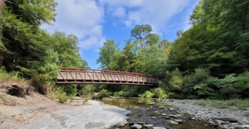 A wooden bridge spans a serene stream, surrounded by lush green trees and a bright blue sky with scattered clouds.