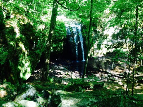 A serene waterfall cascades over rocks, surrounded by lush green trees and foliage in a tranquil forest setting.