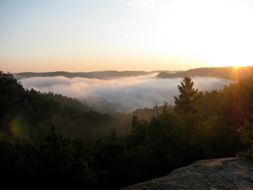 A serene sunrise over a misty valley, with trees silhouetted against the soft, golden light.